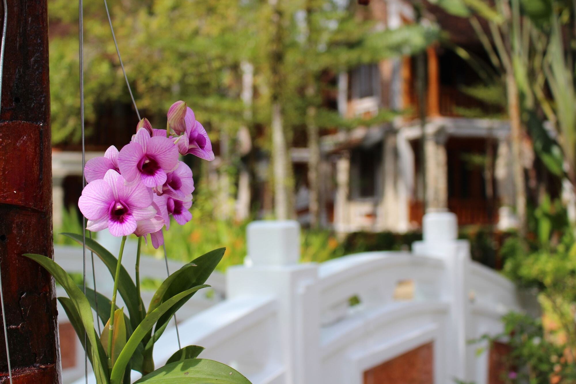 Ancient Village Phu Quoc Resort Kültér fotó